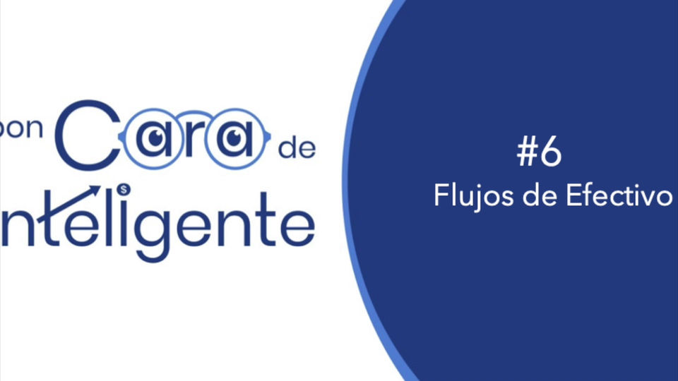 #6 Flujos de Efectivo